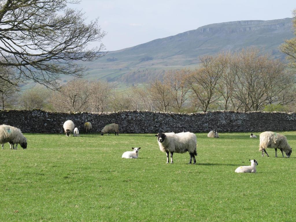 Thornton Lodge Aysgarth Rum bild